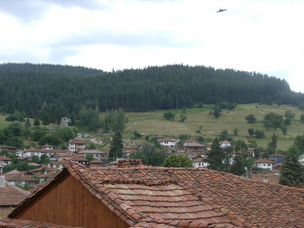 Sarafova Guest House Koprivchtitsa Extérieur photo